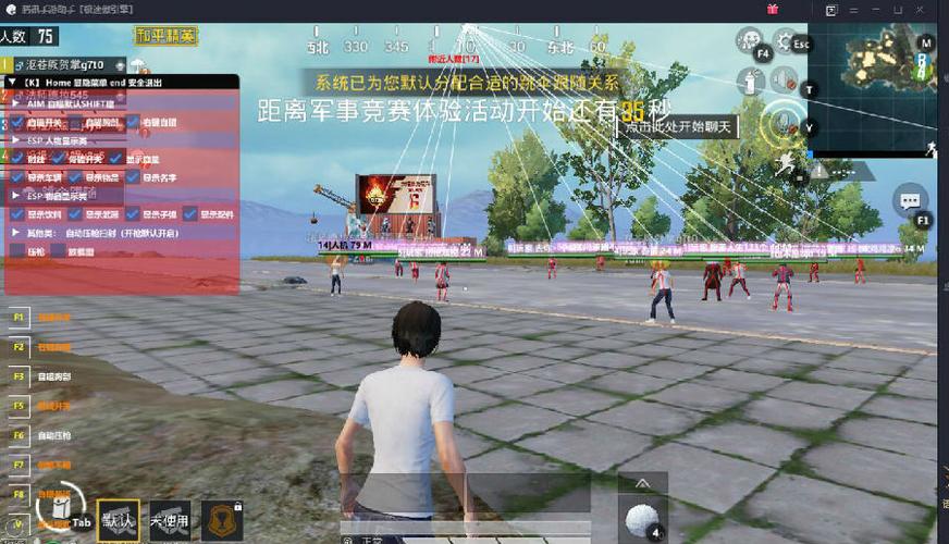 和平精英模拟器《ACE》内部辅助上架